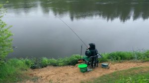 Весенняя рыбалка с фидером в Беларуси / Юра Лисовский.