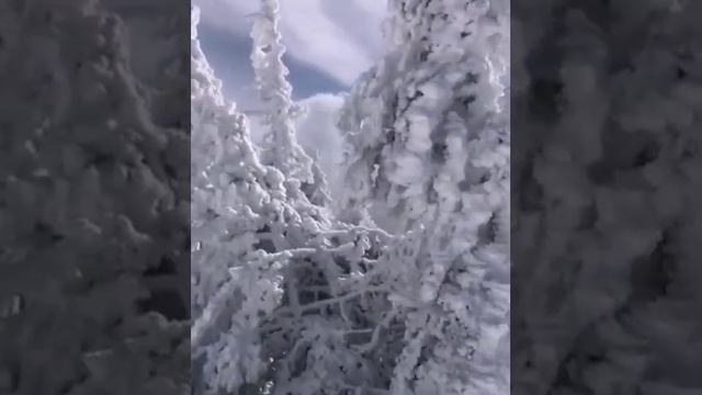 Зима в Швейцарии. .. смотреть онлайн