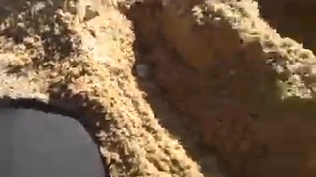ДиКая Барса. День 7. Катя "под клубникой" строит замок смотреть онлайн