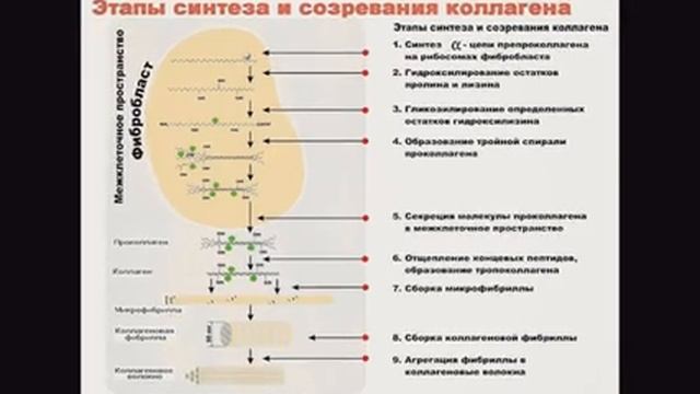 Мороженое Пломбир Без сливок, без Варки за 3 минуты и 2 компонента. До такого не додумаешься смотреть онлайн