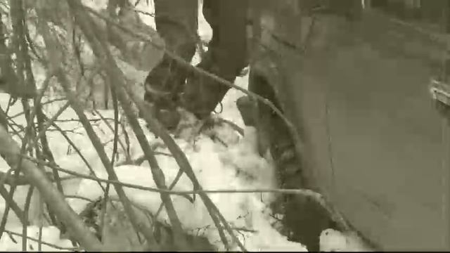 NIVA.RU (02.04.2011) смотреть онлайн