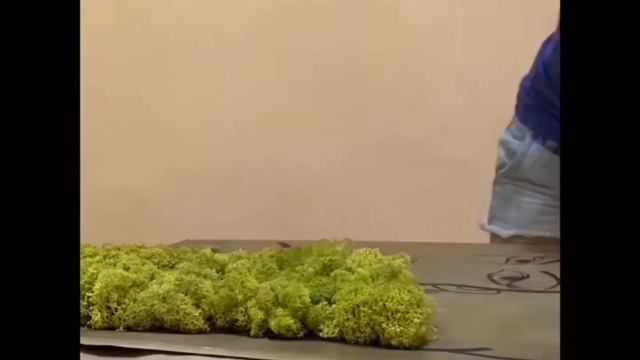 Панно из стабилизированного мха смотреть онлайн