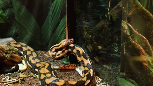 Самая Опасная Квест Комната в Мире! смотреть онлайн