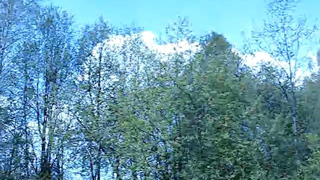 Соловьи..mpg смотреть онлайн