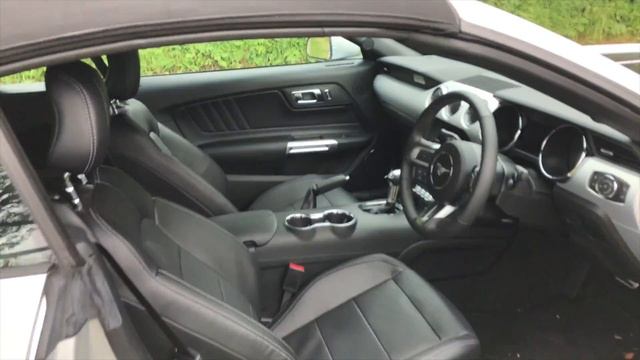 It's been a while plus Ford Mustang GT 5.0 V8 смотреть онлайн