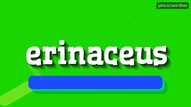 ERINACEUS - HOW TO SAY ERINACEUS? смотреть онлайн