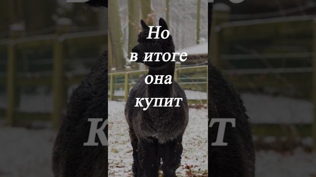 Но в итоге ... смотреть онлайн
