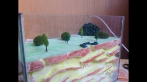 Формикарий для огромной колонии муравьёв своими руками