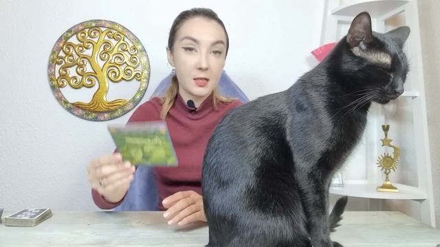 ????? ♓️ ????????? ??????! ?? ??????????- ? ????????? ???? #????? #????????? #????? #???????? смотреть онлайн