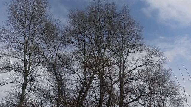 Пасхальная неделя с 25 апреля - 1 мая 2022. Светлая Седмица. Что можно и нельзя делать. Традиции. смотреть онлайн