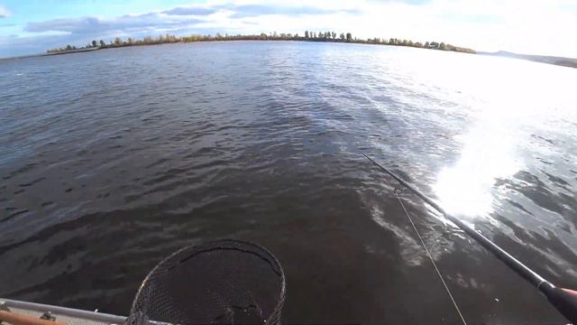 рыбалка на судака , дегустация еды , от местного производителя смотреть онлайн