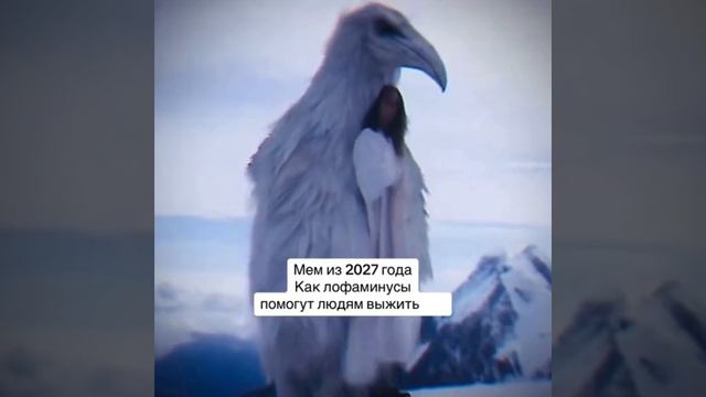 мем 2027 года