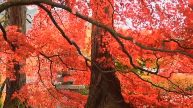 Руководство к Таланту