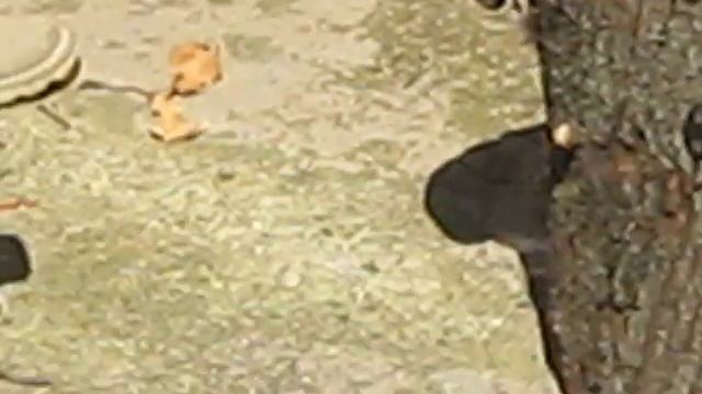 Чеканка медной монеты смотреть онлайн