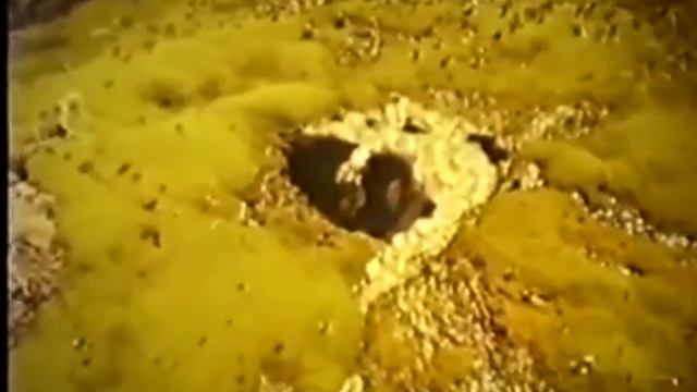 Биосфера и человек смотреть онлайн