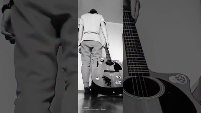 коля мини - принципиальная схема жизни