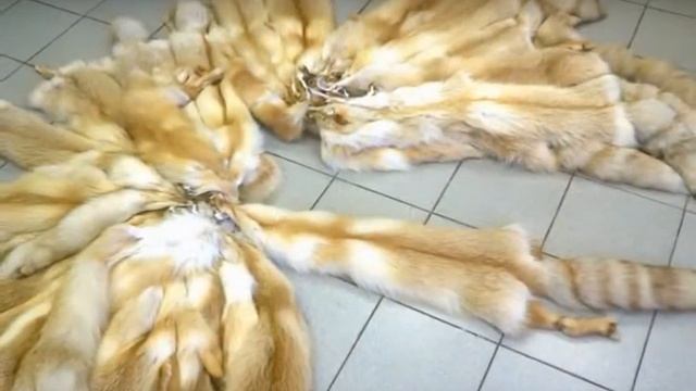 Шкура, мех лисы от Шкуркин.ру смотреть онлайн