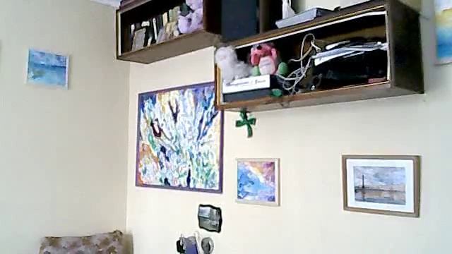 Видео с веб-камеры. Дата: 1 мая 2013 г., 13:54.