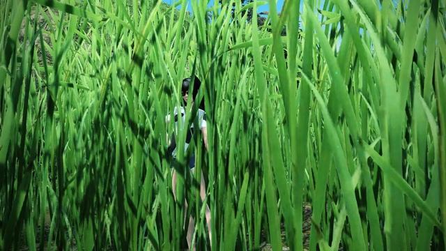 [PSO2] Moo смотреть онлайн