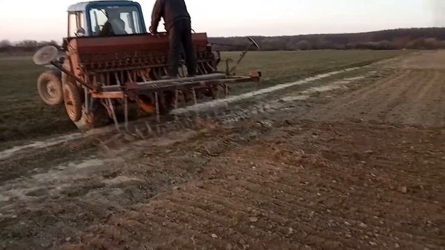 Посів фацелії #2 смотреть онлайн