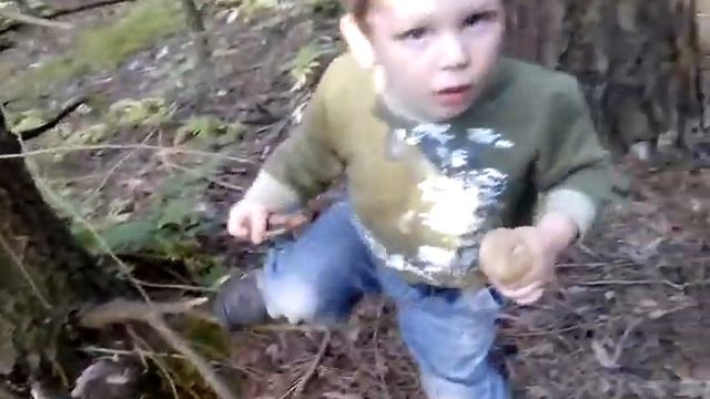 Свинушки смотреть онлайн