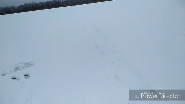 Вот это рыбалка!Жор окуня! Рыбалка в Беларуси смотреть онлайн