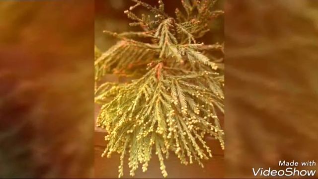 Цвет в одежде #цвет_в_одежде смотреть онлайн