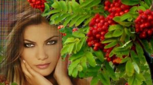 Заплакала Берёза и Задумалась Рябина!