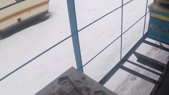 Подкормка пчел зимой Как спасти пчел зимой смотреть онлайн