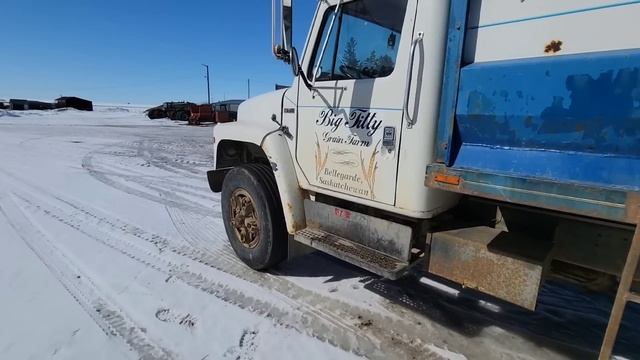 Really black tint and digging the seed hawk out of rhe snow!! смотреть онлайн