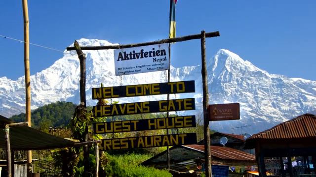 Pitam Deurali to Dhampus смотреть онлайн