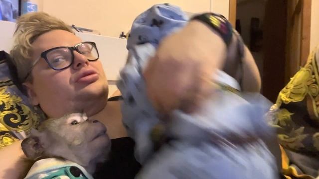 Отдыхаем ???#макака #обезьяна смотреть онлайн