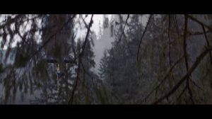 РЭМБО. ПЕРВАЯ КРОВЬ. Джон Рэмбо прыгает со скалы и зашивает руку.