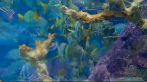 Farzand jazo emas mukofot | rivoyat hikoya ibrat oling @MIR.SAID.TV