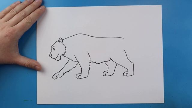 How to Draw a SNOW LEOPARD!!! смотреть онлайн