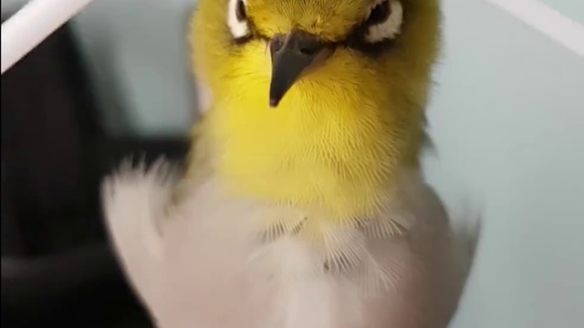 ЭТО МАССАЖ смотреть онлайн