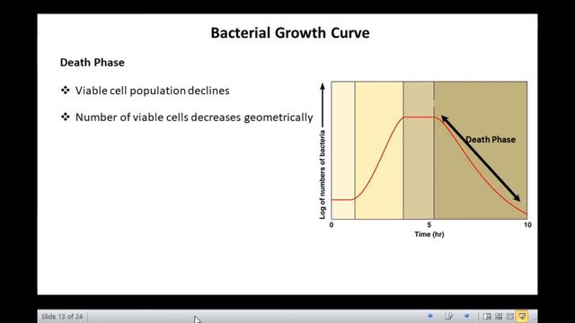 Bacterial growth смотреть онлайн