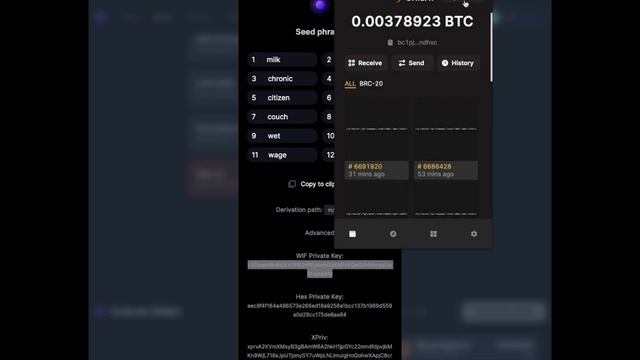 How to Import Ordinalswallet into Unisat Wallet using your WIF Private Key смотреть онлайн