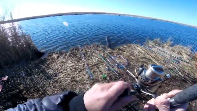 Как поймать крупного карася и плотву весной смотреть онлайн