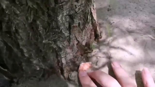 Квест от родителей #игрыдлядетей #соседи #квест #весело смотреть онлайн