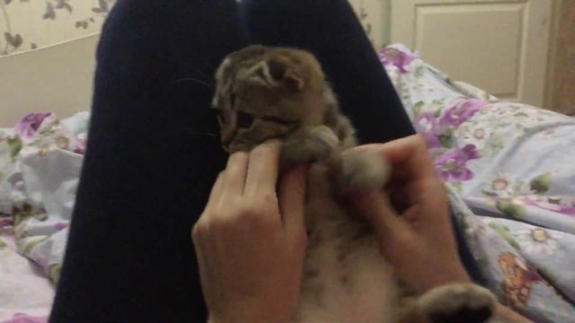 Мурка - звезда родилась! :))) смотреть онлайн