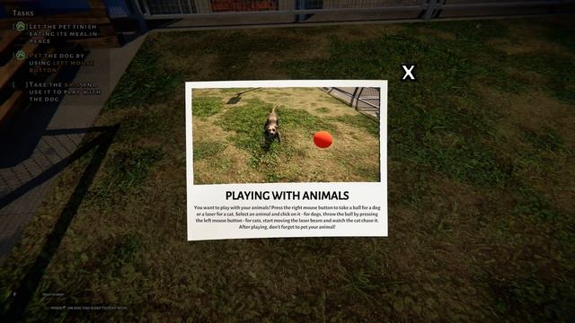 Opening Our Own ANIMAL RESCUE Shelter?! ?? Animal Shelter Simulator Prologue смотреть онлайн