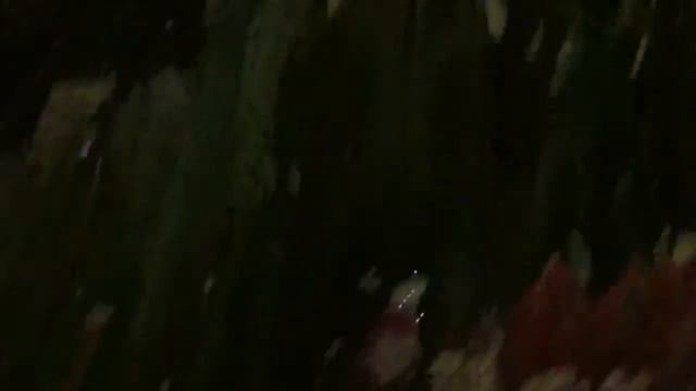 куда сходить в лазаревском вечером кафе лазаревский центр национальных культур смотреть онлайн