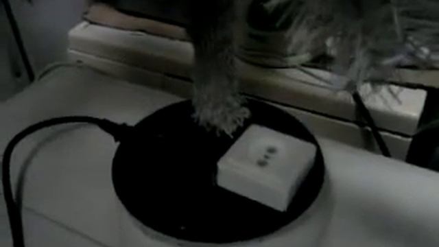 Копия видео Как сделать крутящуюся электропривод-подставку для елки пихты искусственной! смотреть онлайн