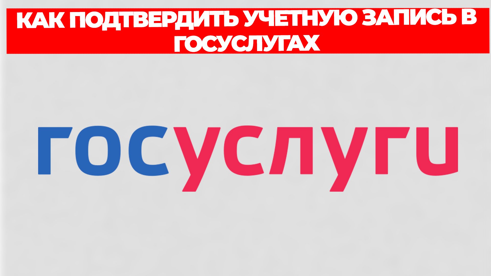 Всезнающий Енот