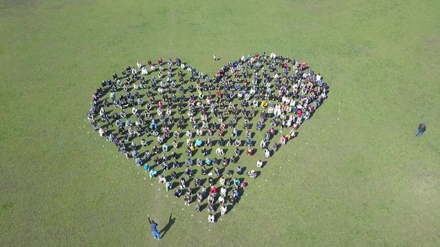 Акция ДТЭК Чистый город в Павлограде - 2018 смотреть онлайн
