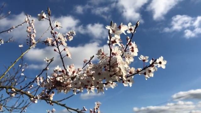 22 мая праздник "НИКОЛАЙ ЛЕТНИЙ". Народные традиции, ПРИМЕТЫ, что КАТЕГОРИЧЕСКИ ЗАПРЕЩЕНО сегодня смотреть онлайн