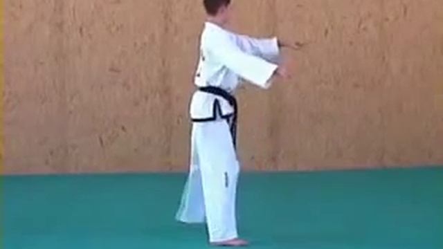 ITF Taekwon Do Patterns | Joong Gun смотреть онлайн