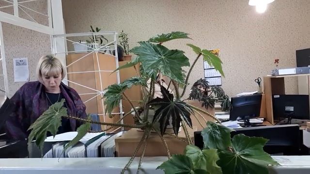 Посещаем Лабинский ЖЭК смотреть онлайн