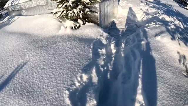 Укрощение камеры и белая утка смотреть онлайн